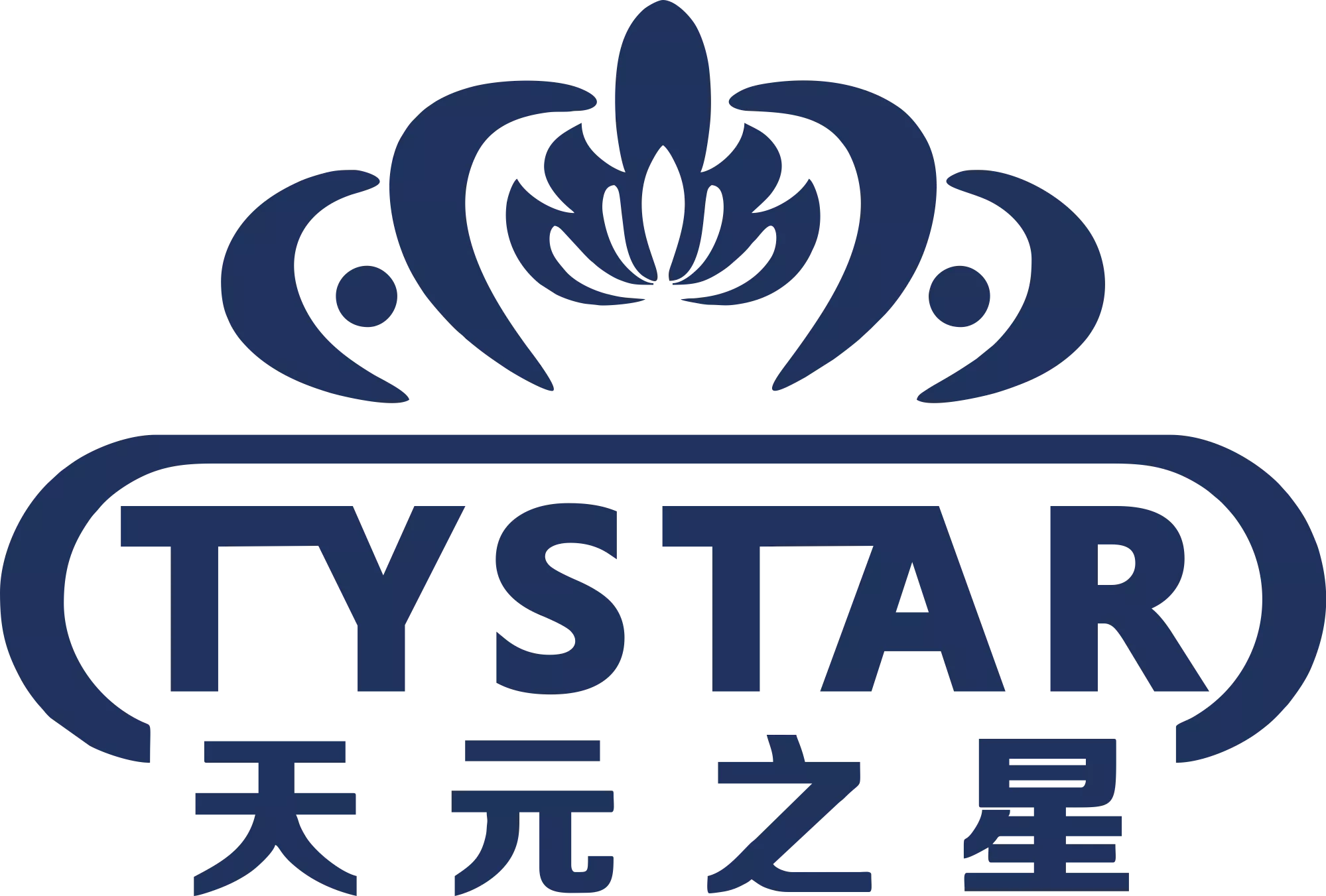 天元之星LOGO
